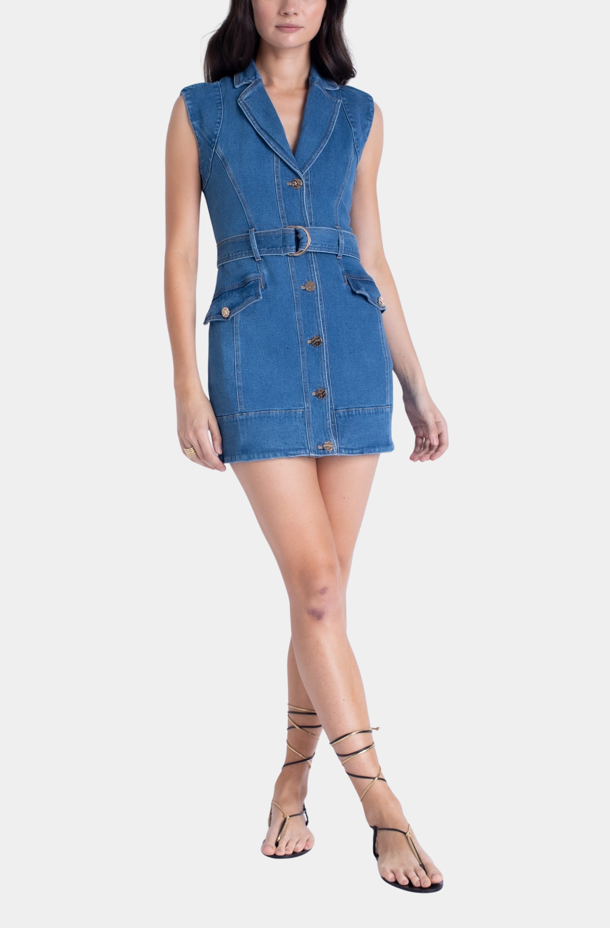 Selena Denim Mini Dress