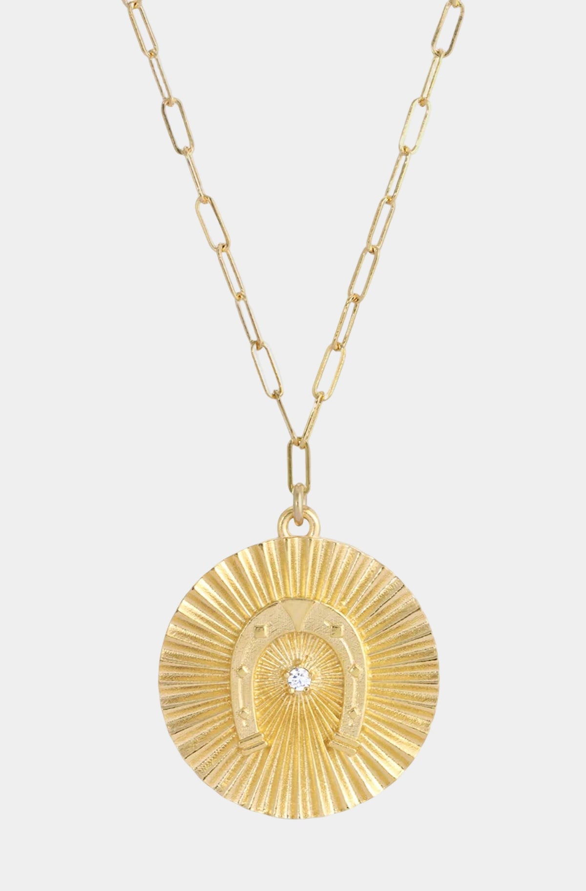 Lucky Bitch Horseshoe Coin Necklace
