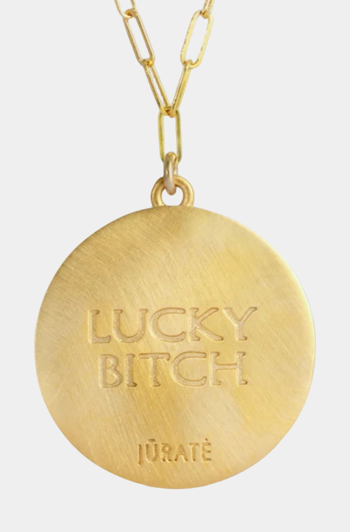 Lucky Bitch Horseshoe Coin Necklace