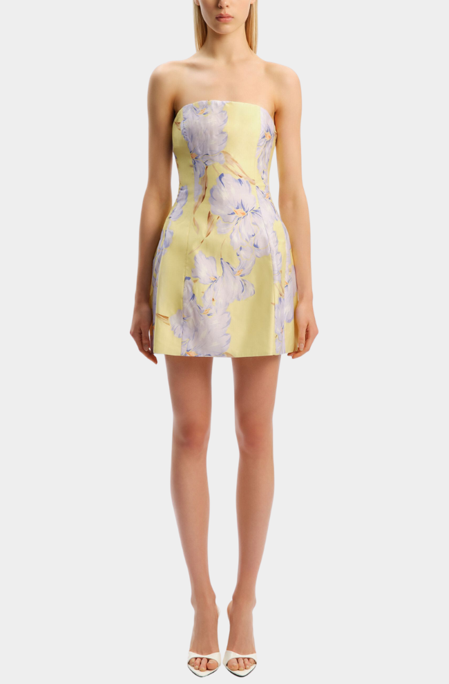 Karoline Hourglass Mini Dress